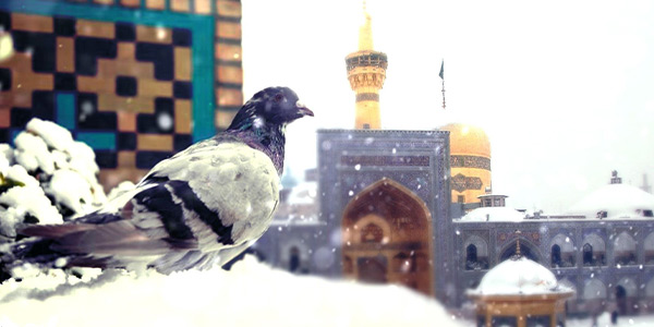 سفر به مشهد در زمستان